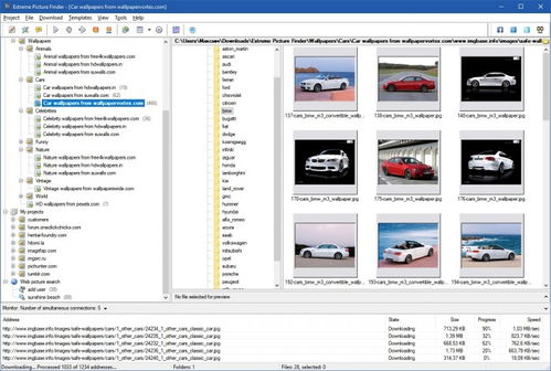 揭秘《Extreme Picture Finder》官方中文版v3.53.3 批量下載網(wǎng)頁(yè)圖片的最強(qiáng)助手